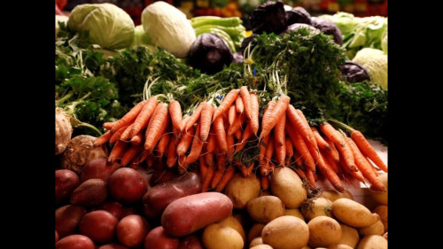 Аграрии приступили к уборке овощей