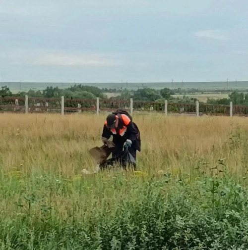 В Оренбуржье продолжают ликвидировать несанкционированные свалки