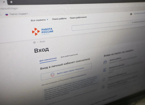 Жители Оренбургской области подали на портале «Работа России» 29 тысяч резюме в этом году