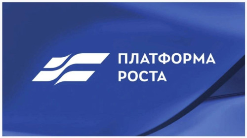 Оренбургские предприниматели присоединились к «Платформе роста»