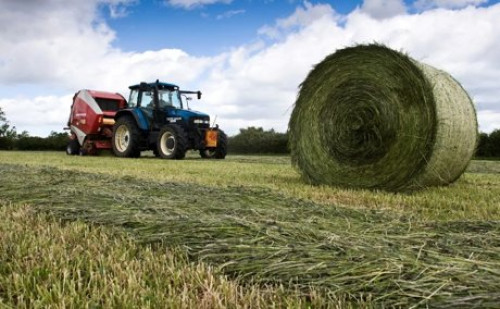 Свыше 270 тысяч тонн сена заготовили оренбургские аграрии