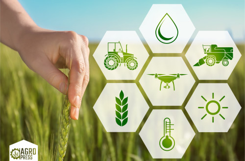 Аграрии Оренбуржья получают компенсацию по страхованию в области растениеводства